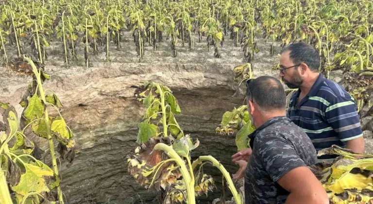 Çifteler’de Şaşkına Çeviren Görüntü