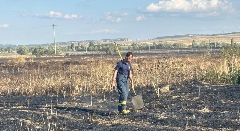 Eskişehir’de Elektrik Akımına Kapılan Kuş ile Tarlalar Yandı