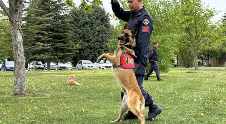 Eskişehir’de Jandarmanın Sevimli Köpekleri Şov Yaptı