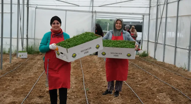 Eskişehir’de Kadın Eli Toprağa Değdi