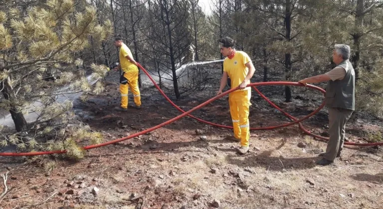 Eskişehir’de Orman Yangını Çok Büyümeden Söndürüldü