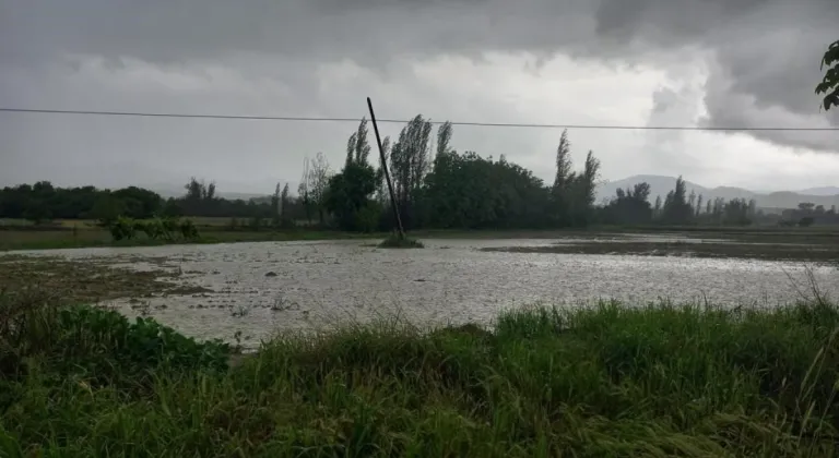 Eskişehir’de Sağanak Yağış ve Dolu Çiftçilere Yaramadı