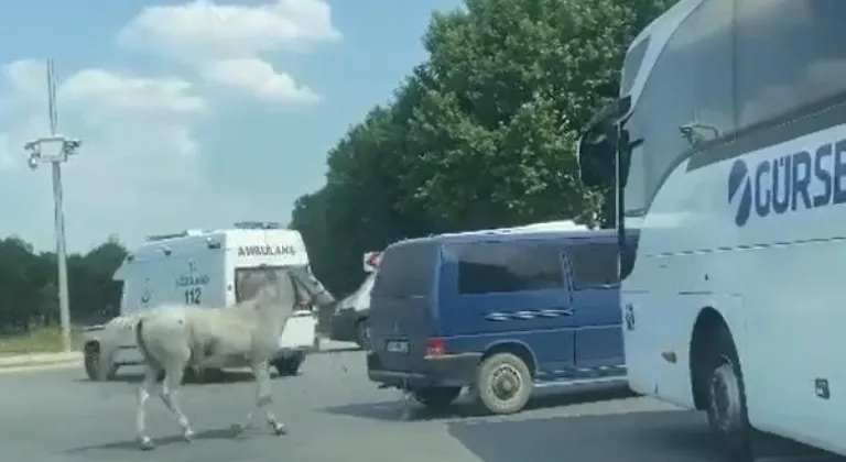 Eskişehir’de Trafiğin Ortasında Ata Yapılan Eziyet!