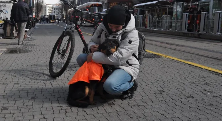 Eskişehir’de Turuncu Hırkalı Kayıp Köpek