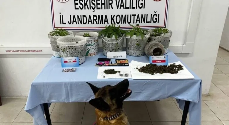 Eskişehir’de Uyuşturucuları Jandarma Köpeği Akça Yakaladı