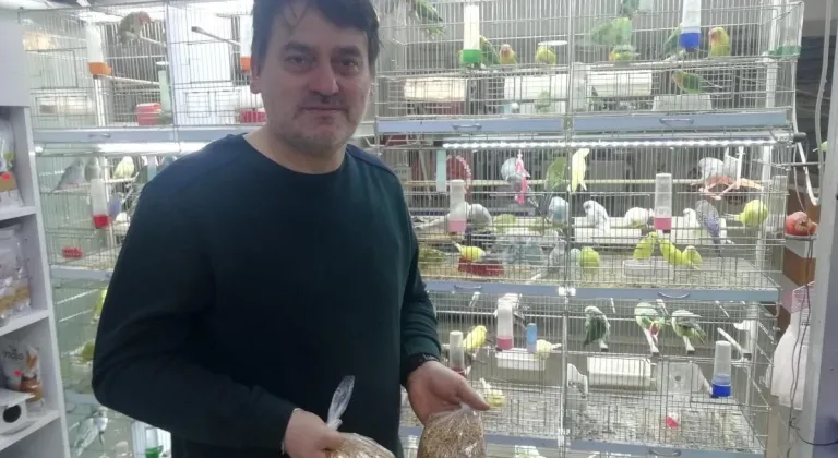 Eskişehir’deki Petshopçuların Oda Talebi