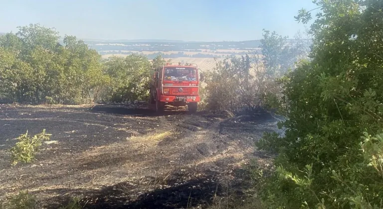 Eskişehir’deki Yangında Hayvanlar da Zarar Gördü