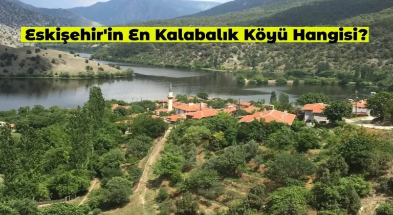 Eskişehir’in En Kalabalık Köyü Neresi? Nüfusu Kaç?