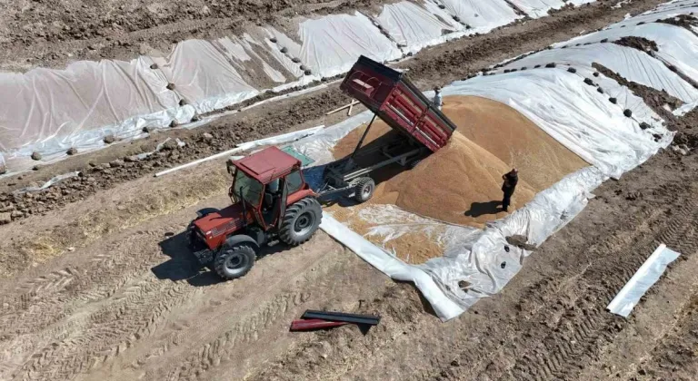 Toprak Mahsulleri Ofisi'nde Hububat Alımları Devam Ediyor