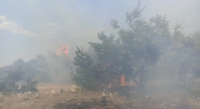 Eskişehir'in Han İlçesi'ndeki Yangın Yayılmadan Söndürüldü