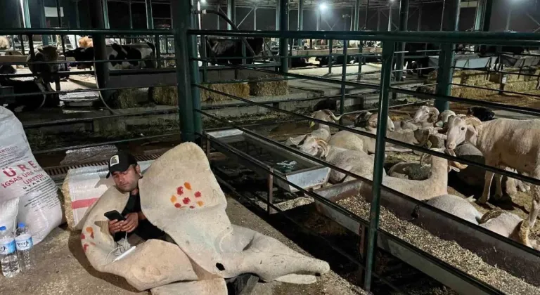 Hayvan satıcıları yatacakları bir yatağa hasret