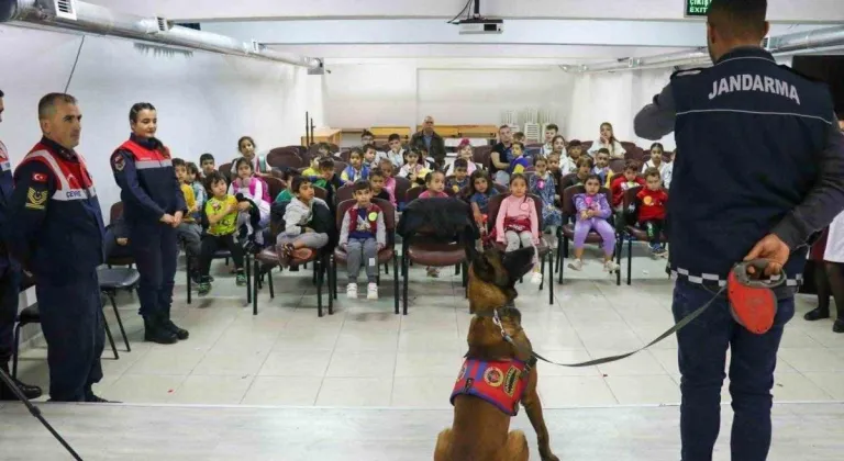 Jandarma ekipleri hayvanları koruma günüyle ilgili etkinlik gerçekleştirdi