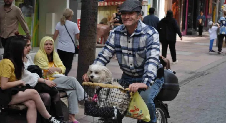 Köpeğini bisikletinin sepetine koyup güzel havanın tadını çıkardı