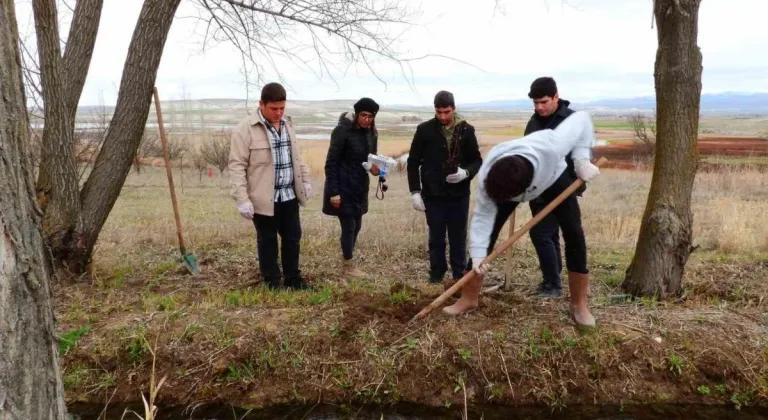 Kuluçkaya yatan kuşlar için 125 söğüt fidanı dikildi