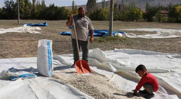 (ÖZEL) Tüccarın fırsatçılığı çiftçiyi mağdur ediyor