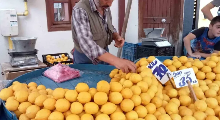 Limon Fiyatları Ağustos Ayında Düşebilir