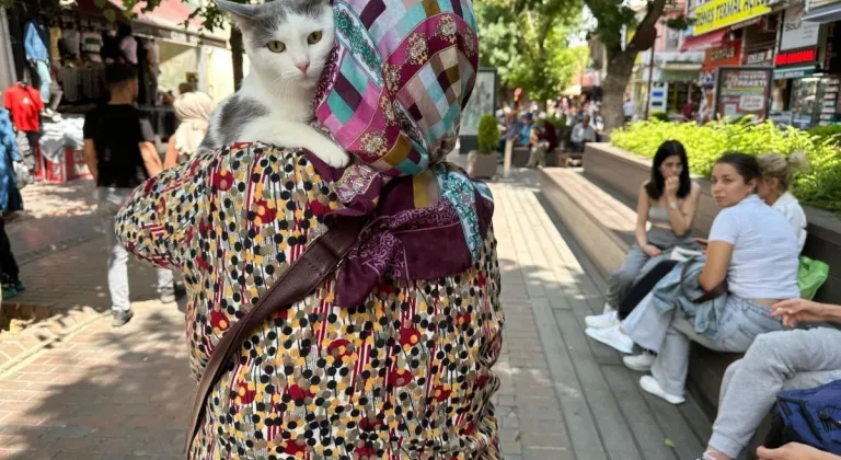 Sahibinin Kucağında Eskişehir Turu Atan Boncuk