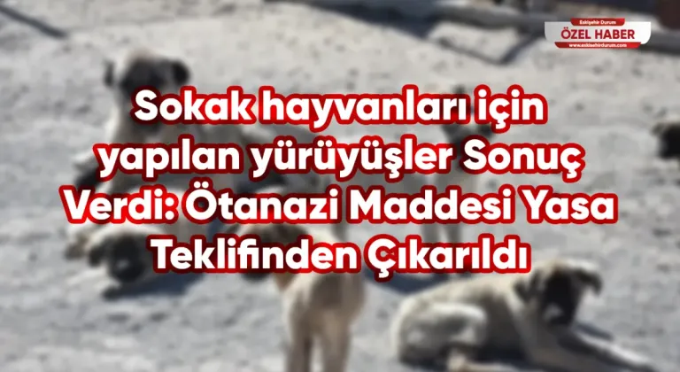 Sokak hayvanları için yapılan yürüyüşler Sonuç Verdi: Ötanazi Maddesi Yasa Teklifinden Çıkarıldı