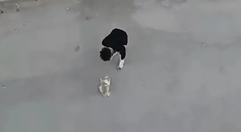 Köpeğe Eziyet Edip Sokakta Tehditler Savuran Şahsın İfadesi Ortaya Çıktı