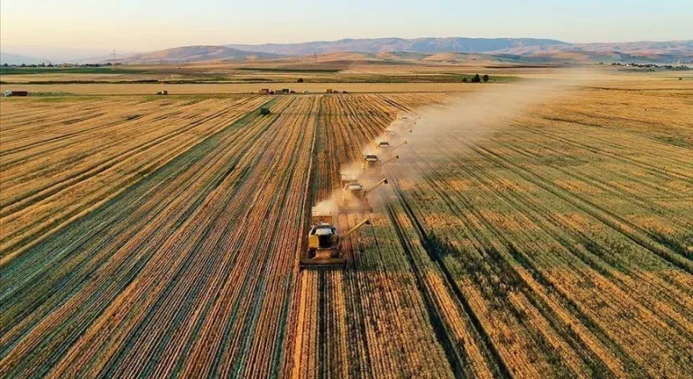 Tarım ve Orman Bakanlığı'ndan Çiftçilere 252,8 Milyon Lira Destek Ödemesi