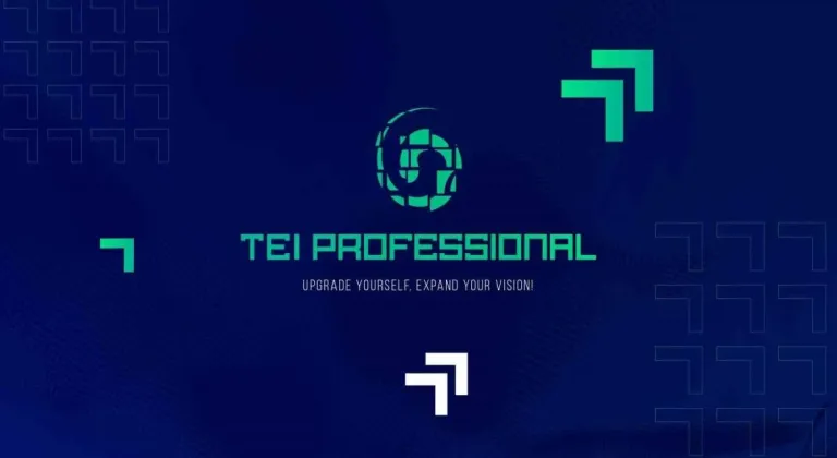 TEI’den Çevrim İçi “TEI Professional” Programı