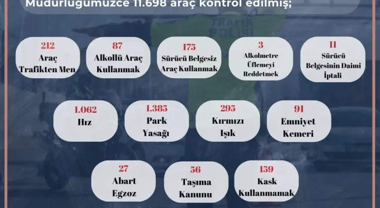 Eskişehir'de 212 Araç Trafikten Men Edildi