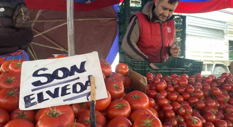 Ucuz ve Lezzetli Bahçe Domateslerine Esnaf ’Son Elveda’ Dedi