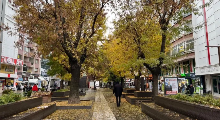 Yağmur Hamamyolu Caddesi'ni Sessizliğe Bürüdü