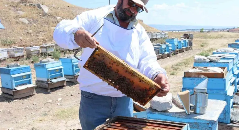 Yüksek Sıcaklıklar Eskişehir'deki Bal Üretimini Düşürdü