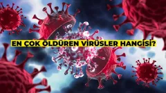 Geçmişten Bugüne: En Çok Öldüren Virüsler Hangileri?