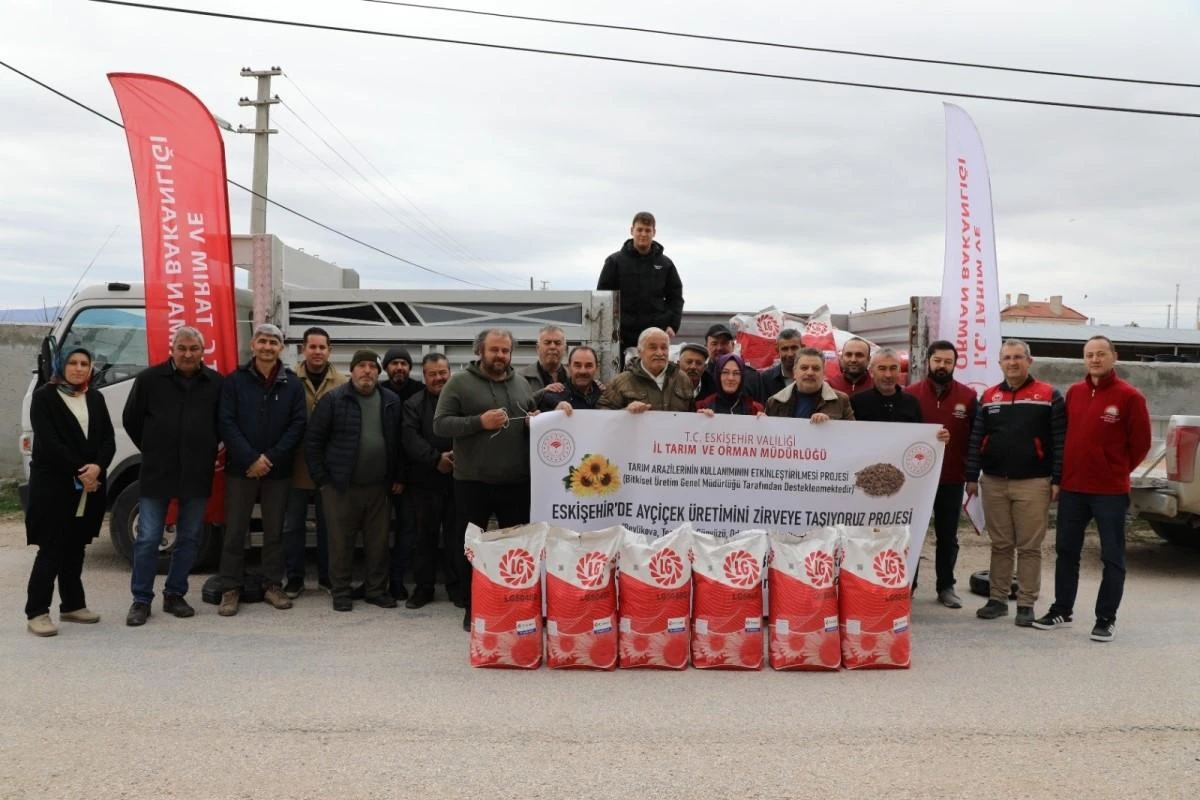 Çifteler’e yüzde 70’i hibe ayçiçeği tohumu dağıtıldı