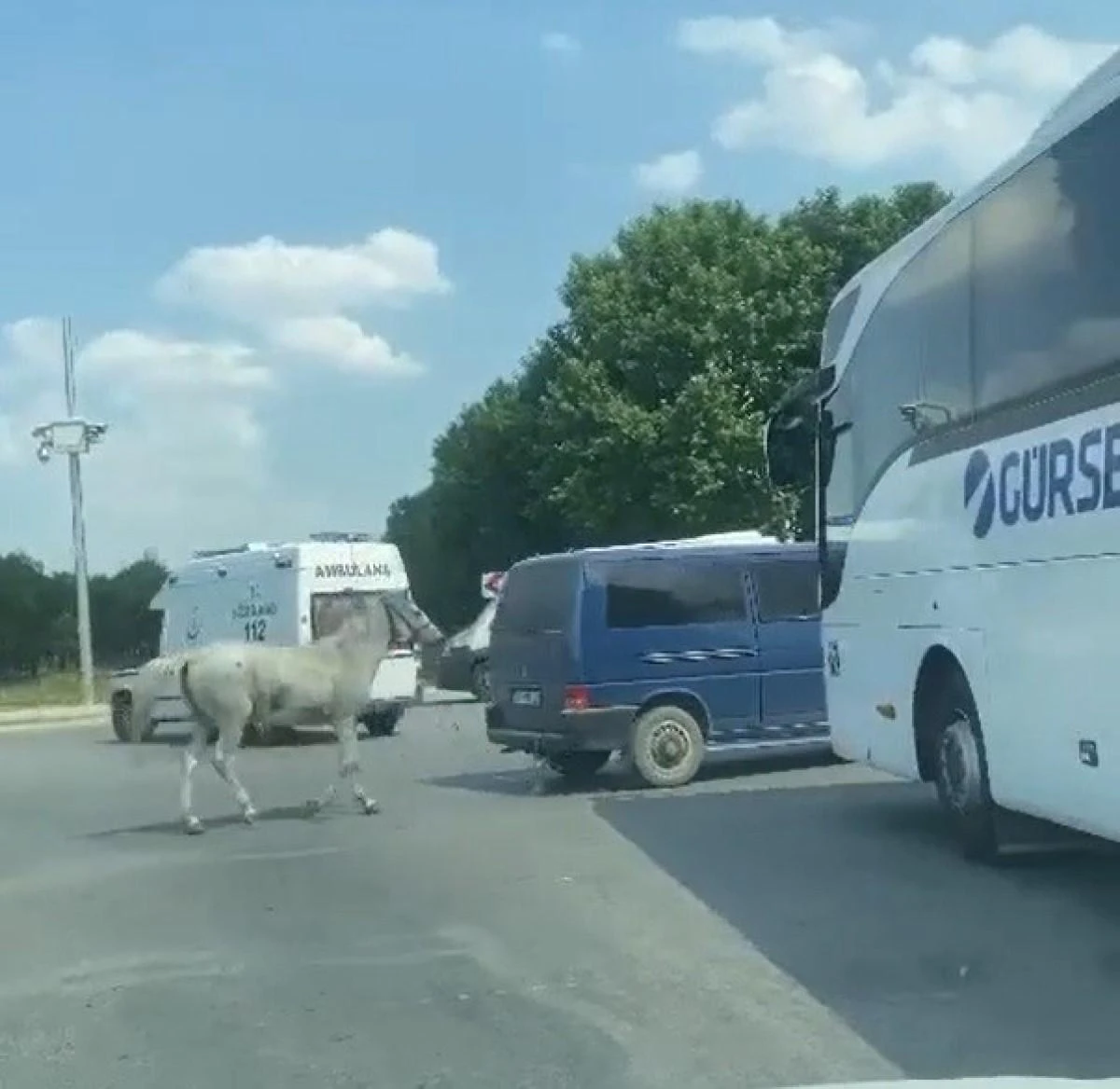 Eskişehir’de bir minibüsün sürücüsü aracının arkasına bağladığı atı  40 dereceye kadar yükselen hava sıcaklığında kilometrelerce koşturdu.