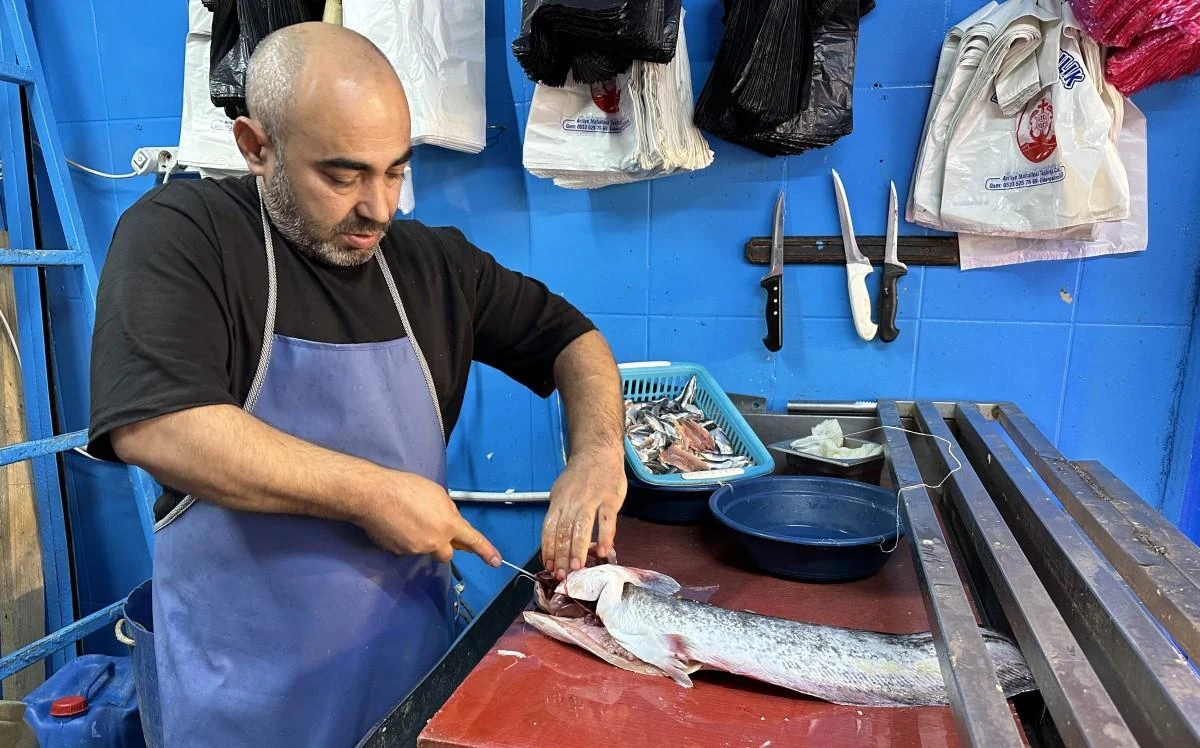 Balık sezonu açıldı tezgahlar renklenmeye başladı
