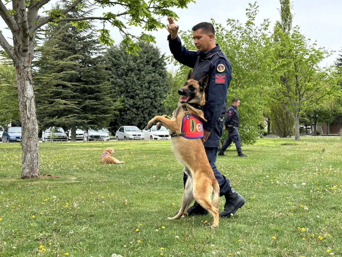 Jandarmanın sevimli kahramanları fuarda şovlarıyla ilgi çekti