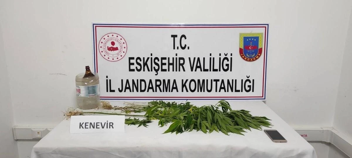 Eskişehir'de Mezarlığa Kenevir Eken Şahıs Yakalandı