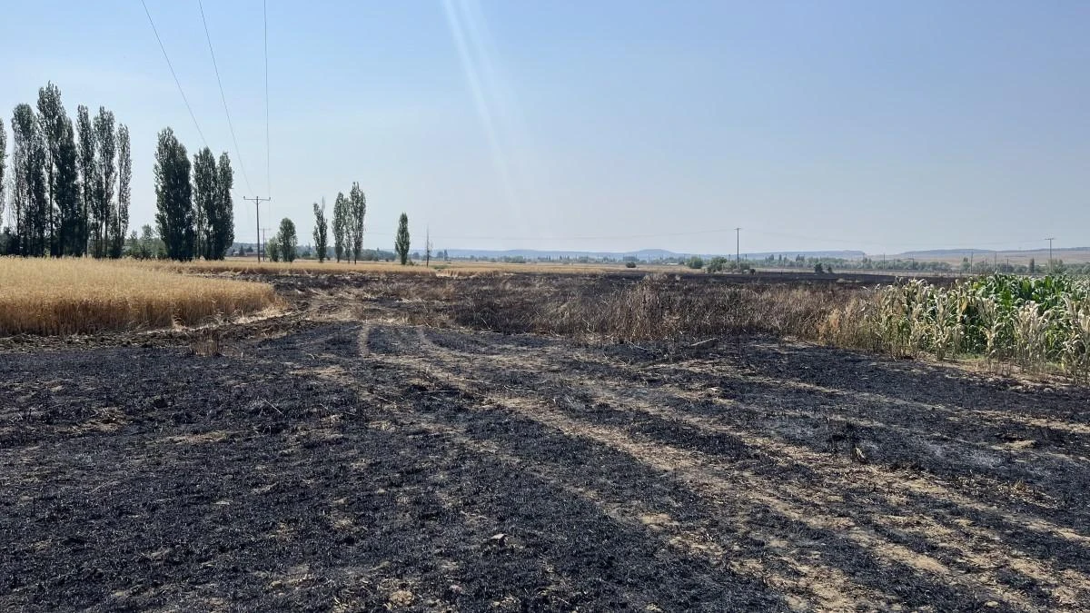 Havada güvercin kovalayan atmaca bakın neye sebep oldu
