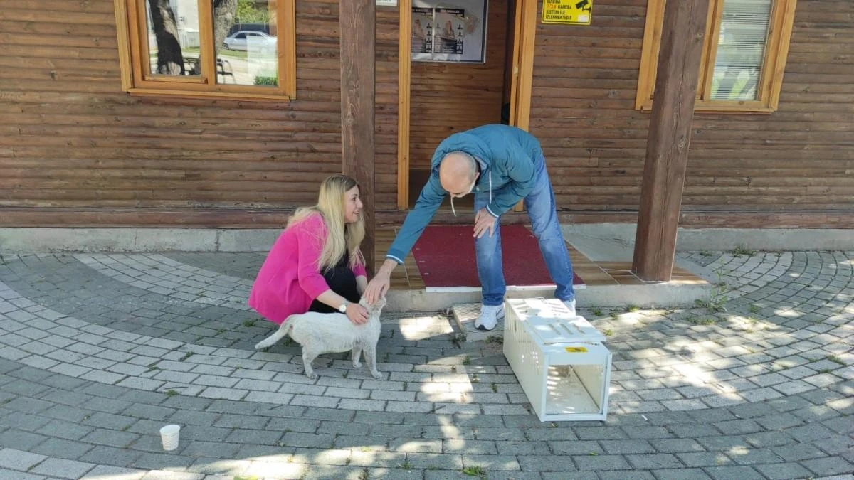 Günlerdir Çatıda Mahsur Kalan Kedi Kurtarıldı