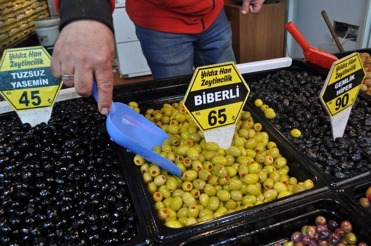 zeytin tezgâhları2