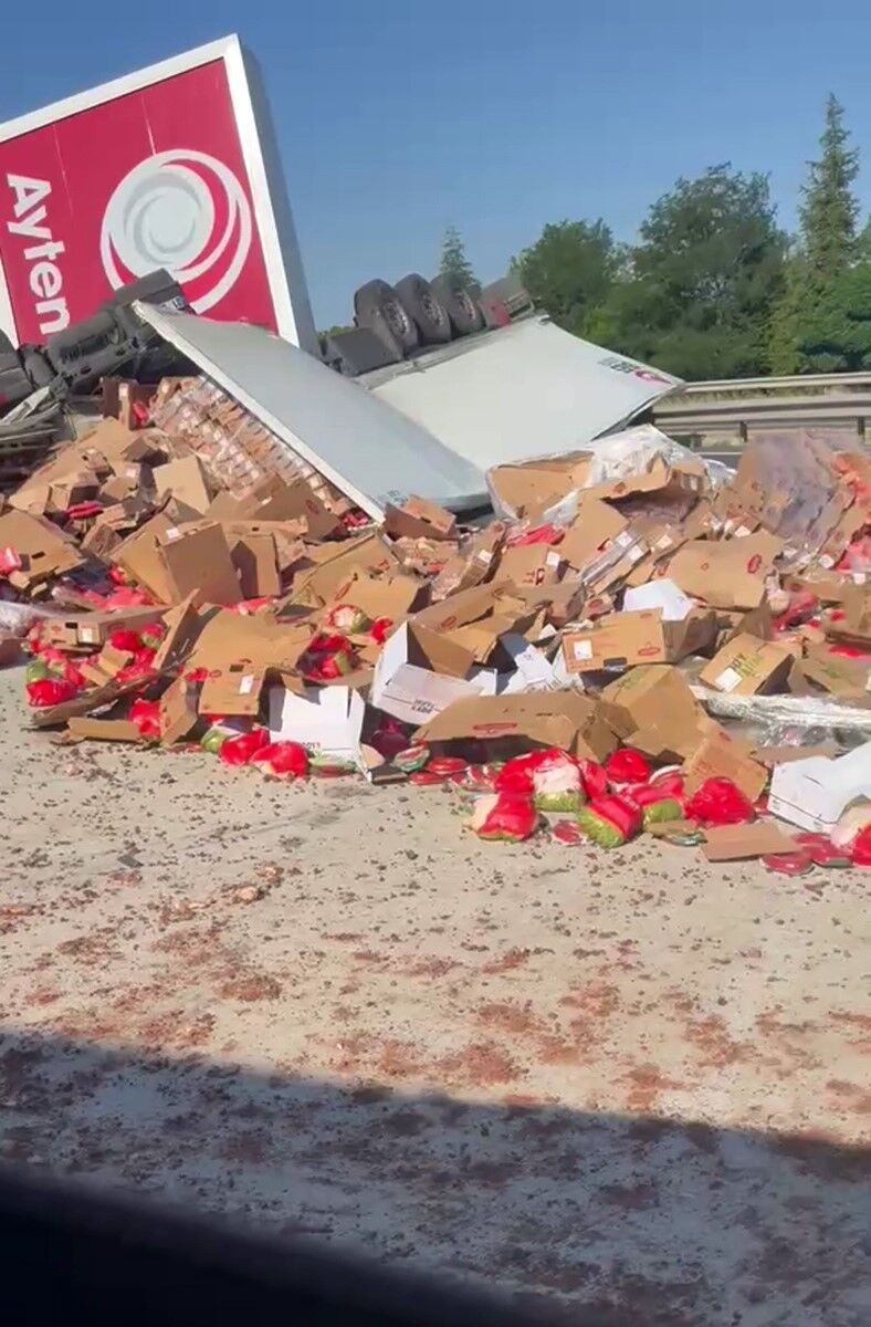 Eskişehir'de Tavuk Yüklü Tır Akaryakıt Istasyonuna Daldı (1)