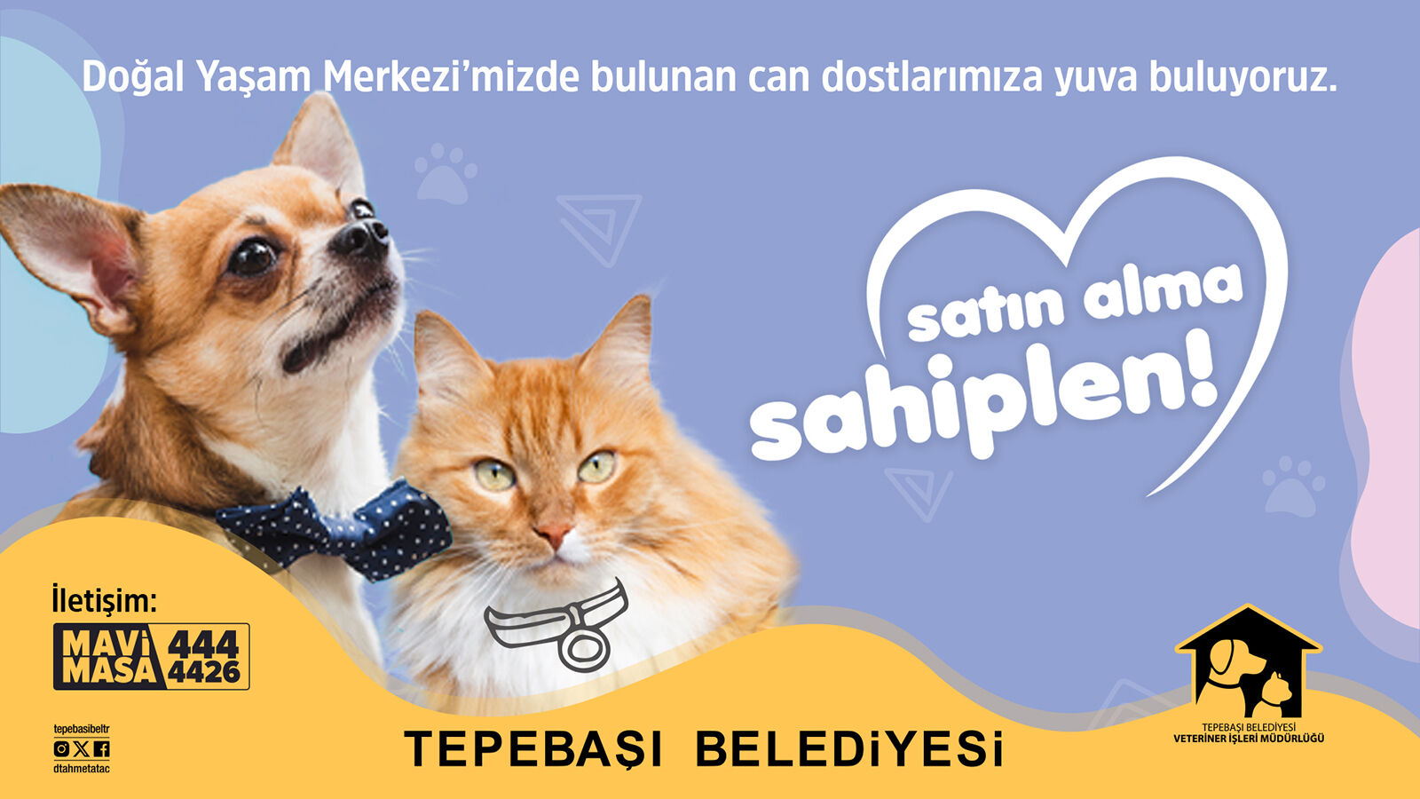 Tepebaşı’nda Can Dostlar Sıcak Yuvalarını Bekliyor (2)