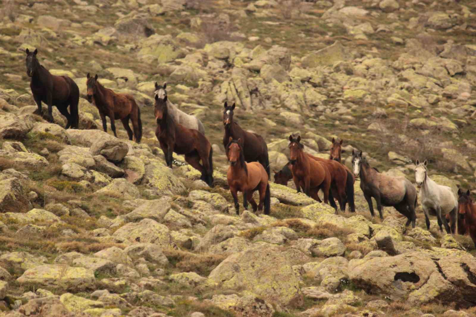 bulutlarin-dansi-ve-yilki-atlari-dron-ile-goruntulendi