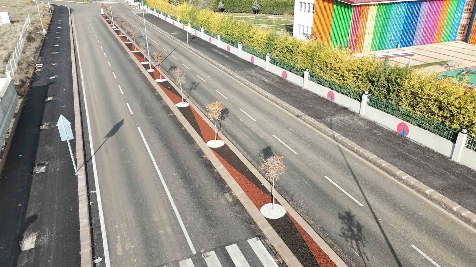 kuru-peyzaj-duzenlemeleriyle-13-bin-ton-su-tasarrufu-saglandi