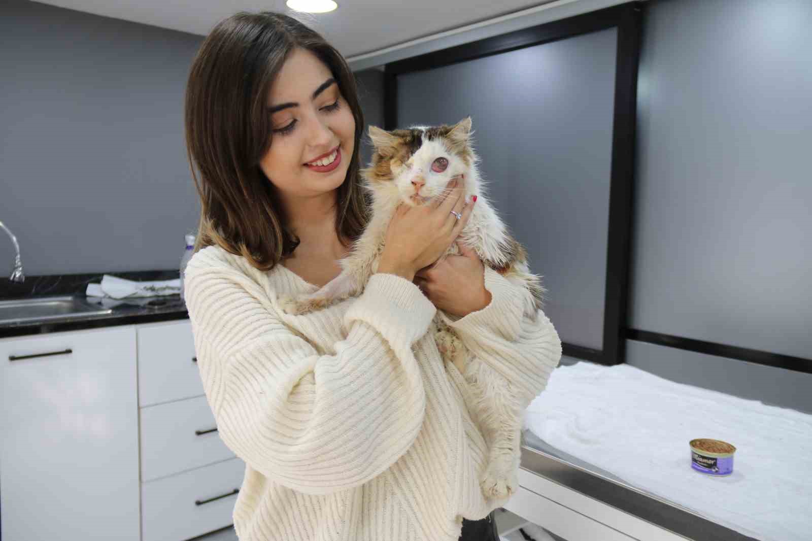 yarali-kedi-tek-gozuyle-hayvan-severler-sayesinde-hayata-tutundu