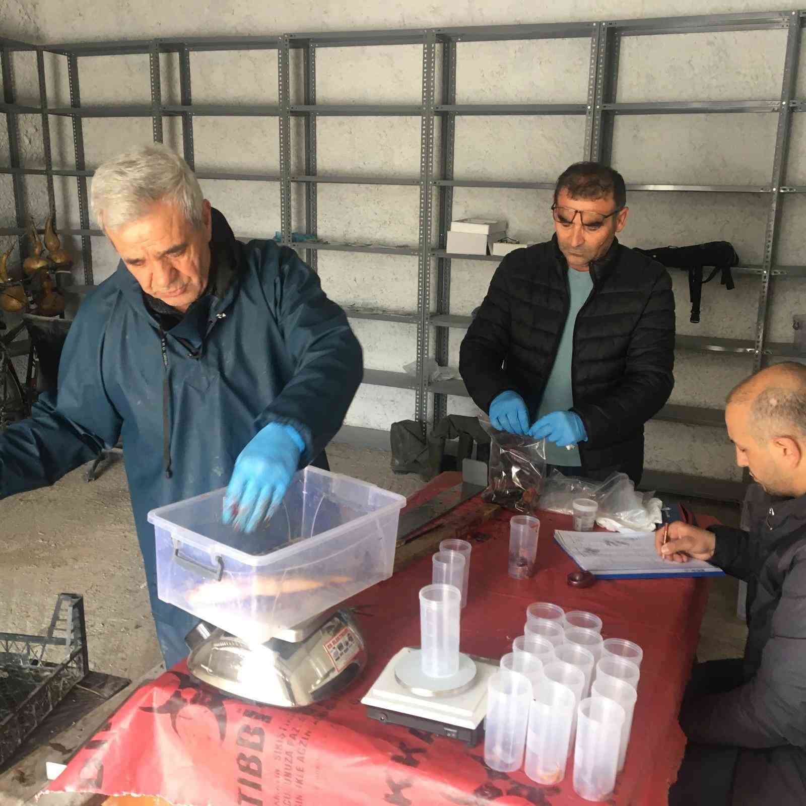 eskisehirde-istilaci-balik-turleri-ile-mucadele