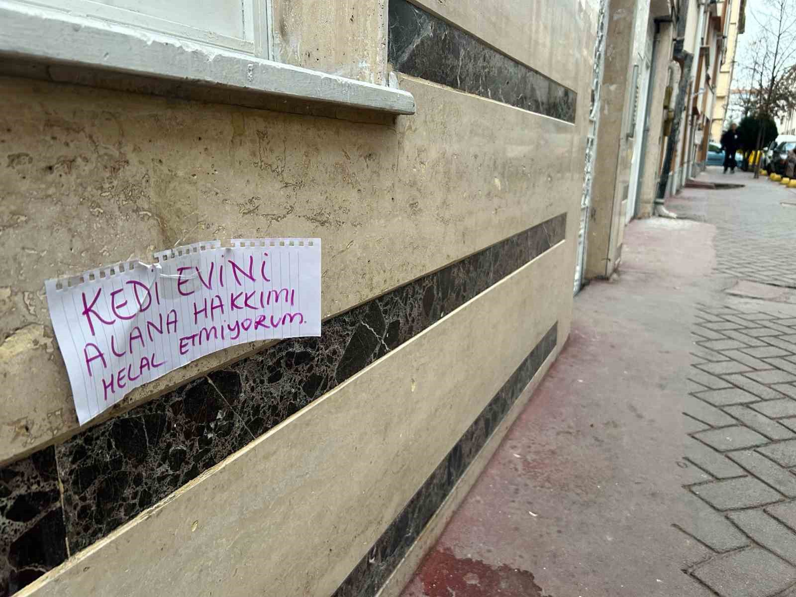 kedi-evini-calanlara-hakkini-helal-etmedi