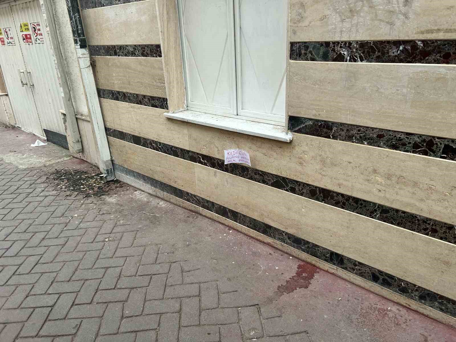 kedi-evini-calanlara-hakkini-helal-etmedi