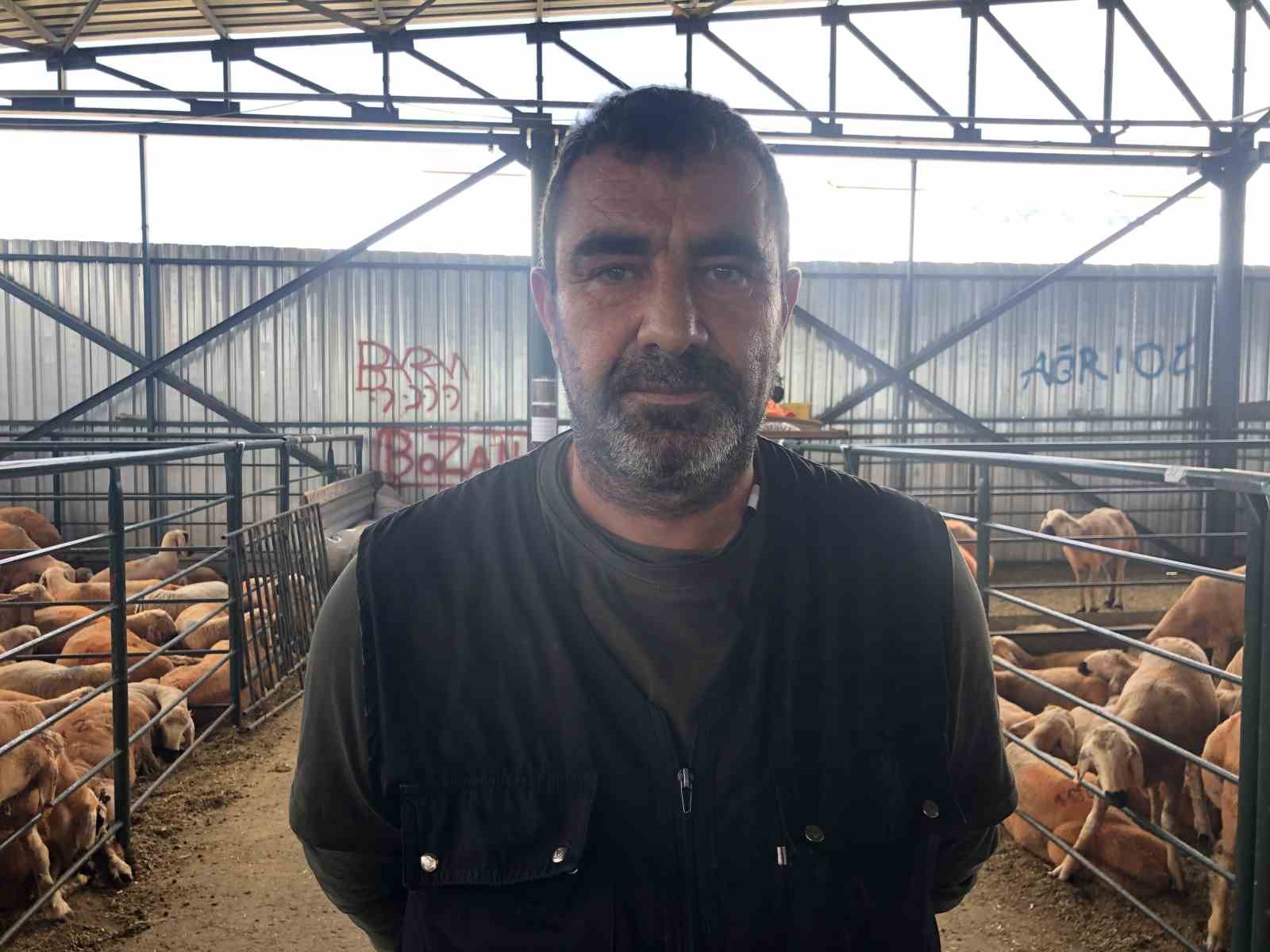 ozel-turuncu-renkli-sivas-kangal-kuzulari-hem-renkleri-hem-de-lezzetleriyle-dikkat-cekiyor
