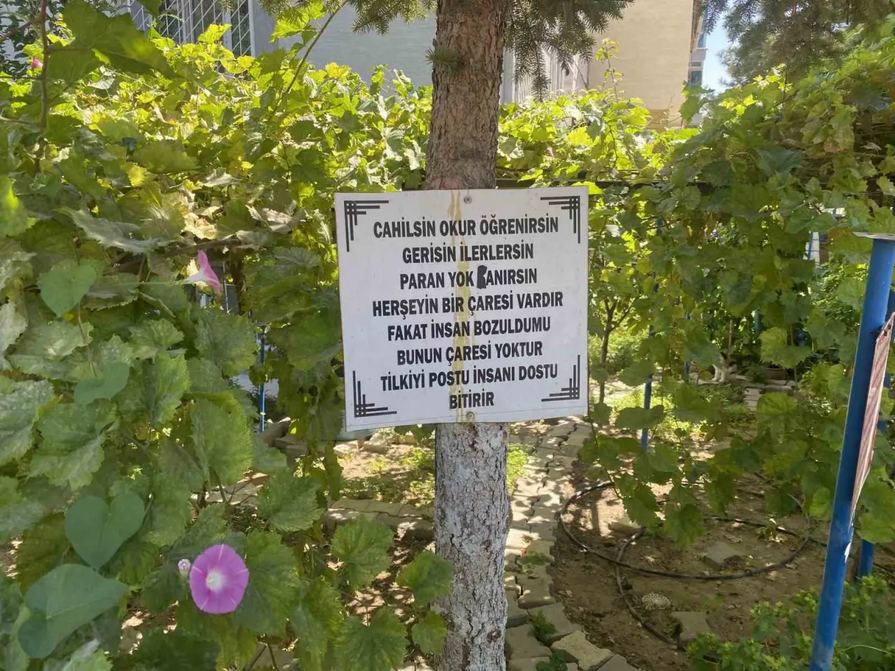 bayram-amcanin-bahceye-yerlestirdigi-ozlu-sozler-dikkat-cekiyor