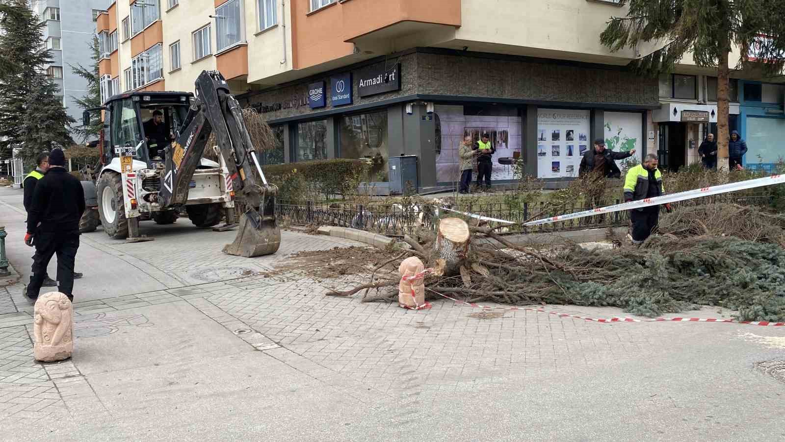 eskisehirde-firtina-sebebiyle-agaclar-devrildi