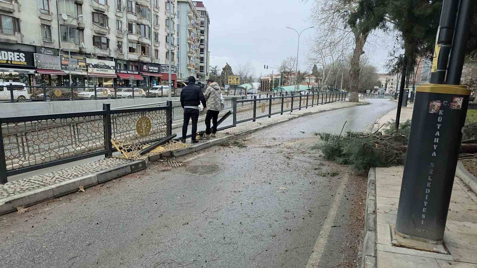 kutahyada-firtina-ve-asiri-ruzgar-agaclari-devirdi